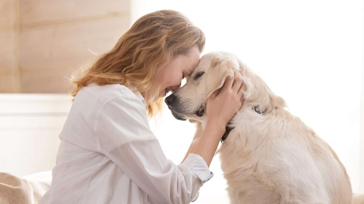 Pet Odor Removal Joliet - Best Carpet Cleaning Pro