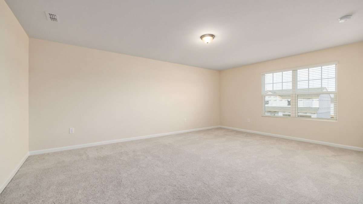 Professional Cleaning Breaks the Cycle - Best Carpet Cleaning Pro